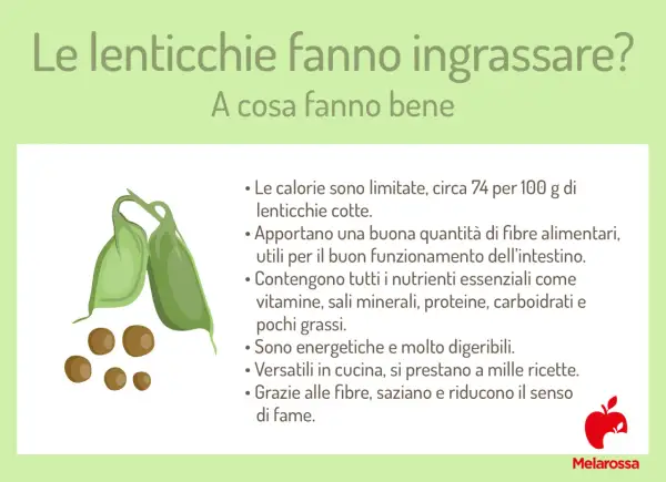 Le lenticchie fanno ingrassare? No, sono ricche di fibre, nutrienti e saziano. Ottime per la salute!