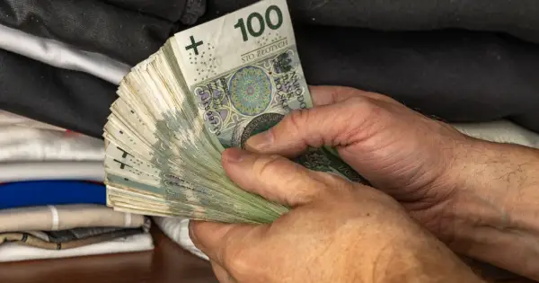 Dłoń trzyma plik banknotów 100 zł. To segment d, część większej całości, być może oszczędności.