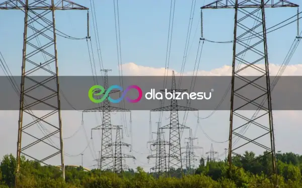 Wysokie słupy energetyczne z liniami wysokiego napięcia na tle błękitnego nieba.