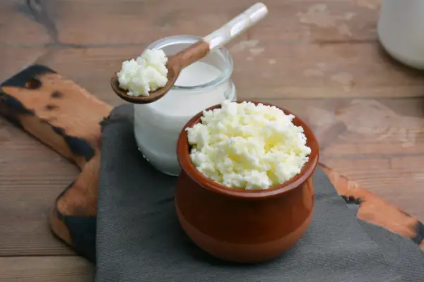 Ziarna kefirowe w glinianym naczyniu i na drewnianej łyżce. Zastanawiasz się, jaka śmietana jest najzdrowsza? Kefir to świetny wybór!