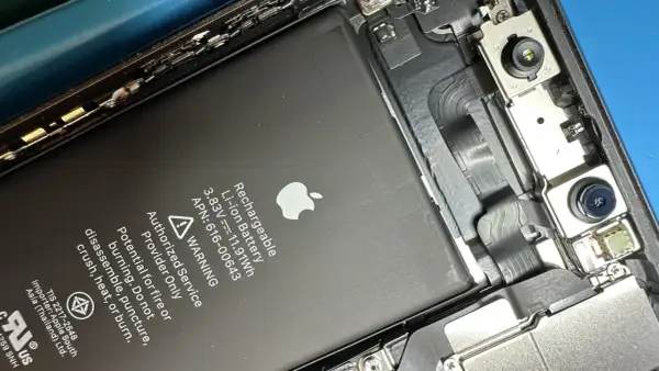 Wnętrze iPhone'a z widoczną baterią i modułami aparatu.