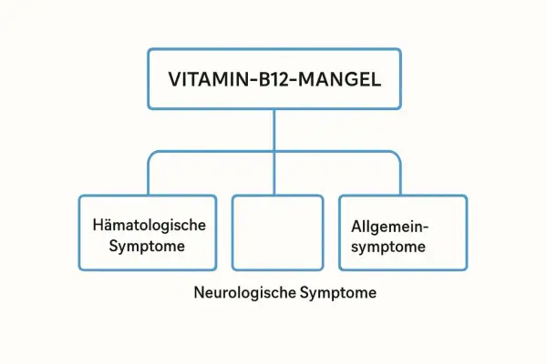 Übersicht über Symptome bei Vitamin-B12-Mangel: Hämatologische, neurologische und allgemeine Symptome.