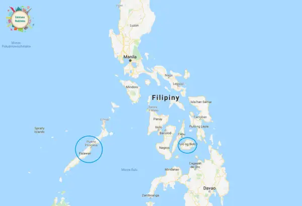 Mapa pokazuje, gdzie są Filipiny, z zaznaczonymi miastami jak Manila, Cebu i wyspami Palawan i Bohol.