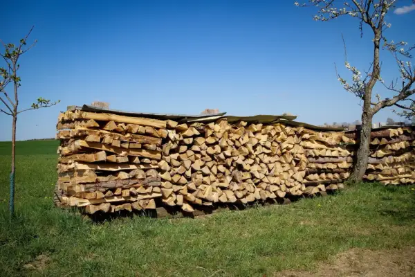 Ein großer Stapel gespaltenes Holz liegt im Freien, teilweise mit einer Plane zum holz abdecken oder nicht.