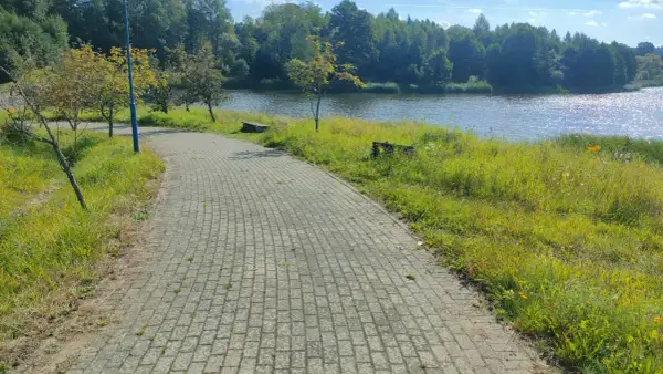 Ścieżka z kostki brukowej w Drawskim Parku Krajobrazowym prowadzi nad jezioro. Słońce odbija się od wody, a wokół bujna zieleń.