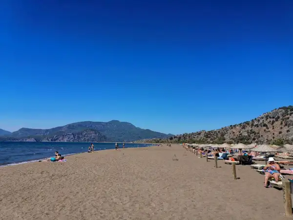 Plaża żółwi w Turcji, z turkusowym morzem i górami w tle. Ludzie odpoczywają na leżakach pod parasolami.