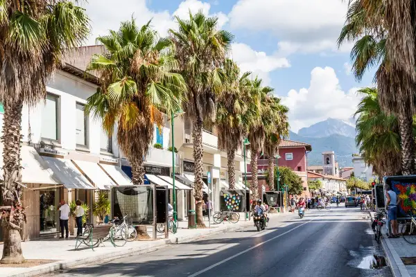 Strada alberata con palme, negozi e gente. Chissà quanto costa una casa qui, con questo panorama.