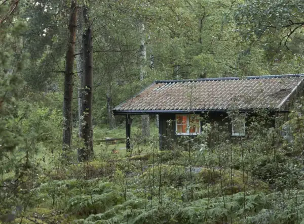 En mysig stuga i en grinda stugby, omgiven av grönskande skog och ormbunkar. Ljuset från fönstret lyser varmt.