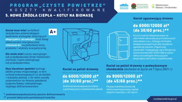 Kocioł na drewno: Jak wybrać? Uniknij błędów, zyskaj dotacje!