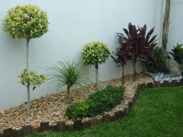 Jardines pequeños con árboles topiarios, plantas de hojas rojas y césped verde, delimitados por piedras y madera.