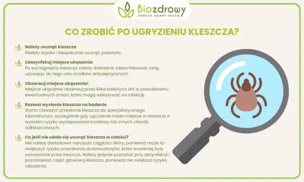 Ugryzienie kleszcza: kiedy do lekarza, aby uniknąć poważnych problemów