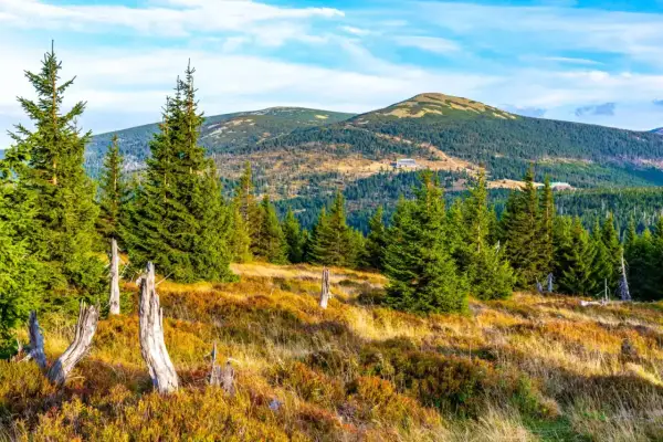 Jesienne Karkonosze zachwycają widokami. Wśród drzew i traw widać budynki, które są częścią atrakcji tego regionu.
