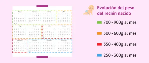 Calendario con meses y gráfico de evolución de peso de recién nacido.