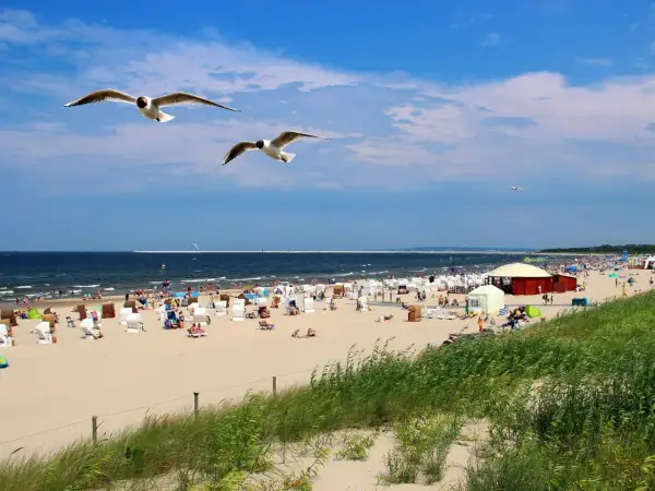 Słoneczna plaża pełna ludzi, leżaków i parawanów. Nad głowami szybują mewy, a w oddali widać morze, które kusi najcieplejszą wodą w Bałtyku.