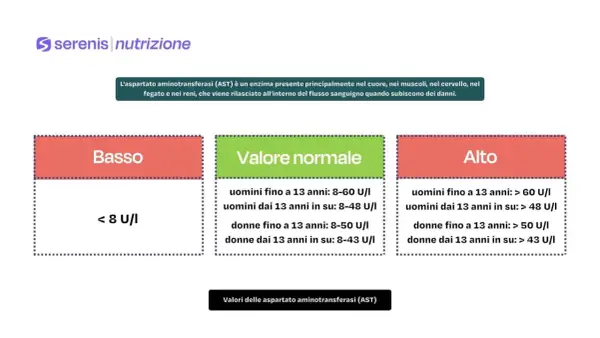 Valori AST (aspartato aminotransferasi) negli esami del sangue: basso (<8 U/I), normale (range specifici per età e sesso) e alto (> range normali).
