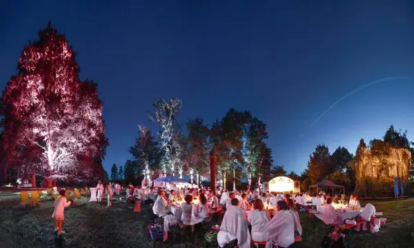 Festliche Nacht bei Essingen Veranstaltungen: Gäste in Weiß speisen unter beleuchteten Bäumen und Sternenhimmel.