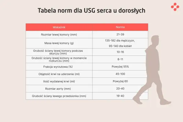 Tabela norm dla USG serca u dorosłych, prezentująca najdokładniejsze badanie serca. Wskazuje wymiary, masę i grubości ścian serca, frakcję wyrzutową, objętość krwi oraz rozmiar aorty.