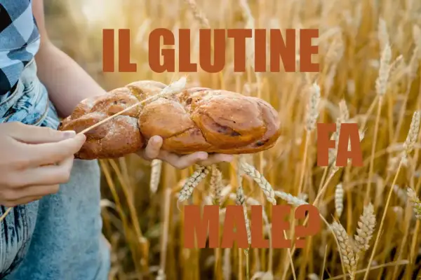 Mani che tengono un pane intrecciato in un campo di grano. Il testo dice "IL GLUTINE FA MALE?". L'orzo contiene glutine.