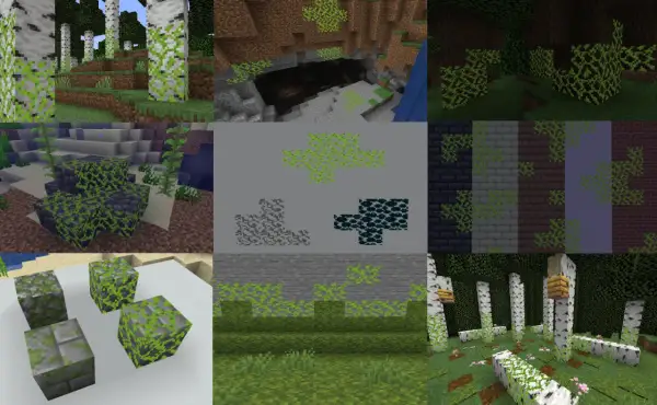 Blok mchu Minecraft w różnych odsłonach: na drzewach, kamieniach, w jaskiniach i pod wodą.