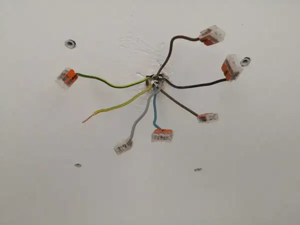 Przewody elektryczne połączone złączkami. Widać przewód neutralny w kolorze niebieskim, a także zielono-żółty przewód ochronny.