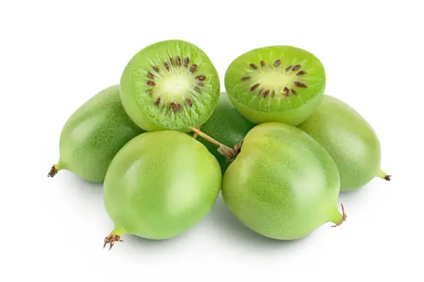 Mini kiwi prosto z działki. Zielone, okrągłe owoce, jeden przekrojony ukazuje drobne pestki.
