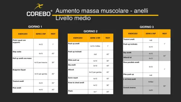 Scheda massa muscolare: allenamento per anelli su 3 giorni, con esercizi come pistol squat, push up e trazioni. Livello medio.
