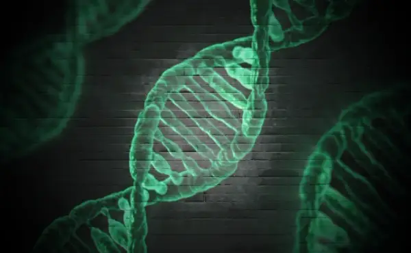 Zielona, świecąca struktura DNA na tle ciemnej ceglanej ściany. Może symbolizować badania nad zespołem Patau.