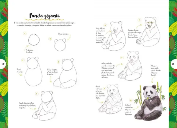 Panda gigante: guía paso a paso para dibujar animales. Aprende a trazar la cabeza, el cuerpo y los detalles del pelaje de este tierno oso.