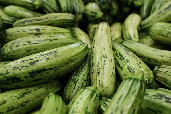 Mnóstwo zielonych kabaczków i cukinii, niektóre z ciemnymi pasami, leżą obok siebie, gotowe do przyrządzenia pysznego dania.