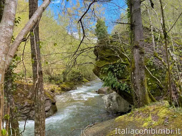 Un ruscello scorre tra rocce muschiose e alberi verdi, creando un'atmosfera serena che ricorda la cascata della Prata.