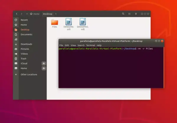 Terminal Linux affichant la commande pour supprimer des fichiers. L'utilisateur est sur le bureau et s'apprête à supprimer des éléments.