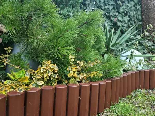 Jak układać palisady ogrodowe plastikowe - proste kroki i porady