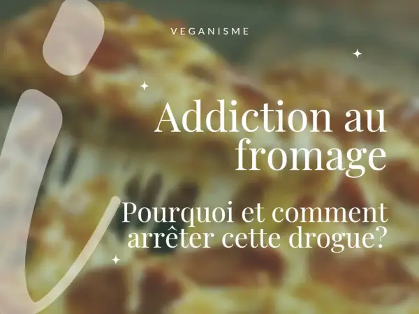 Texte sur une pizza floue : "Addiction au fromage. Pourquoi et comment arrêter cette drogue?