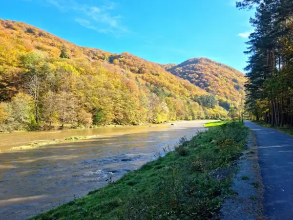 Jesień nad Popradem. Ścieżka rowerowa wzdłuż rzeki, góry w złotych barwach. Idealne miejsce na **velo Poprad**.