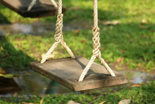 A simple wooden plank swing, suspended by thick ropes, hints at how to build a tree swing. The grass and water below suggest a peaceful backyard setting.