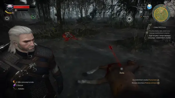 Geralt szuka śladów ataku, by odnaleźć cenną przesyłkę w mrocznym lesie. W pobliżu leży martwy koń.