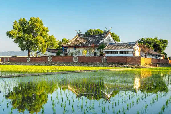 Un campo de arroz verde brillante refleja un edificio tradicional. Aquí es de donde viene el arroz, cultivado en agua.