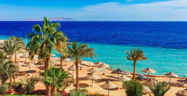 Solig strand med palmer och parasoller i Hurghada, Egypten. Blått hav och berg i horisonten.