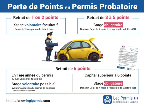 Perte de points permis probatoire : 1-2 points, stage volontaire. 3-5 points, stage obligatoire sous 4 mois. 6 points, stage obligatoire sous 4 mois.