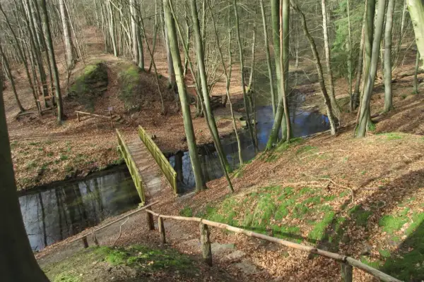 Ein Weg führt über eine Holzbrücke durch den Blankenberg Wald. Moosbedeckte Hänge und Laub säumen den Pfad.
