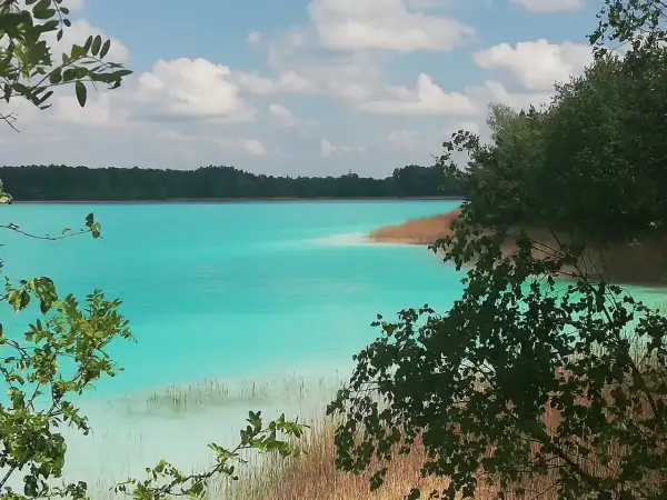 Turkusowe jezioro w Koninie, otoczone trzcinami i zielenią, z błękitnym niebem i białymi chmurami.