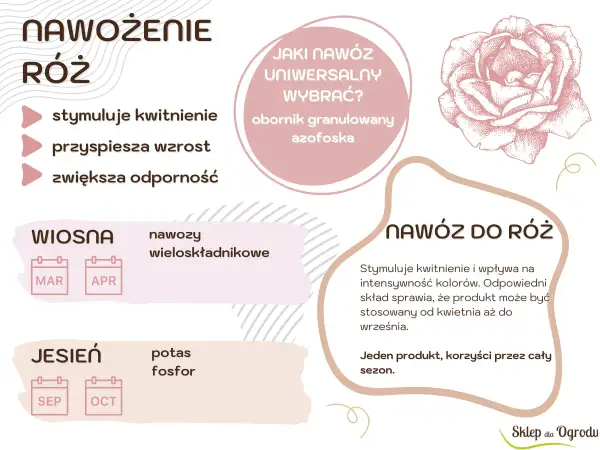 Nawóz do róż: stymuluje kwitnienie, przyspiesza wzrost, zwiększa odporność. Wiosną nawozy wieloskładnikowe, jesienią potas i fosfor. Leczenie domowe dla róż.