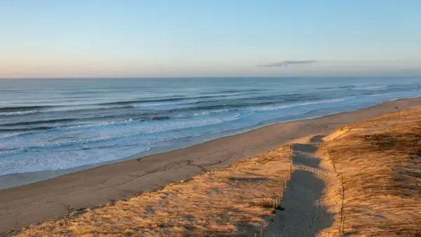 Extensa playa de arena dorada en las Landas, con olas rompiendo suavemente. Un camino bordeado de postes de madera guía hacia la costa, ideal para paseos con perros.