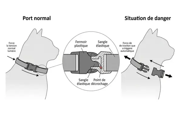 Collier de sécurité pour chat : en cas de danger, la sangle élastique se décroche pour éviter l'étranglement.
