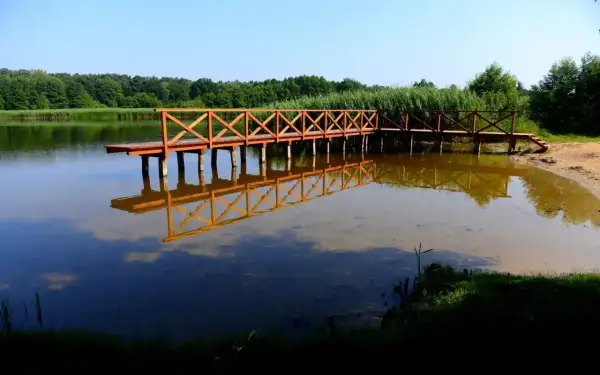 Drewniane molo odbija się w spokojnej tafli jeziora wojnowskiego. W tle zieleń drzew i trzcin.