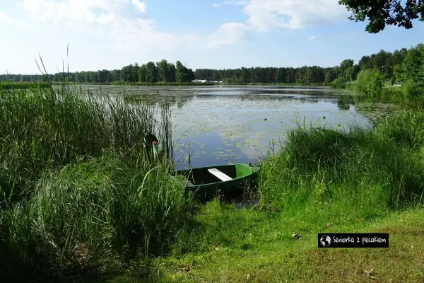 Zielona łódka czeka przy brzegu porośniętym wysoką trawą. W tle rozciąga się spokojny zalew zielona, otoczony lasem.