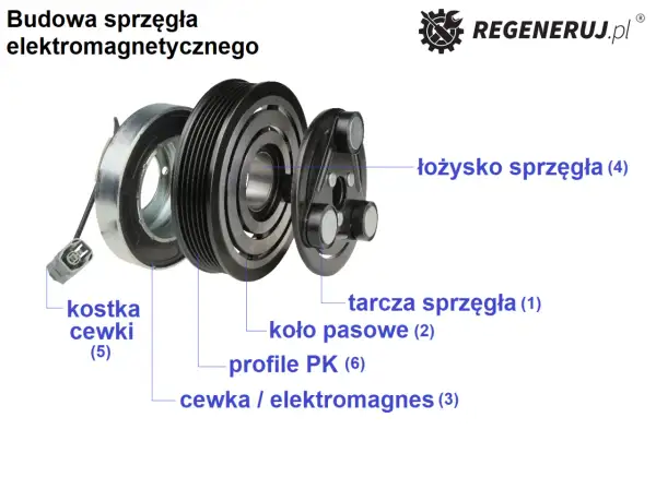 Rozłożone sprzęgło klimatyzacji: koło pasowe, tarcza, cewka/elektromagnes, łożysko. Często hałasujące sprzęgło klimatyzacji wymaga regeneracji.