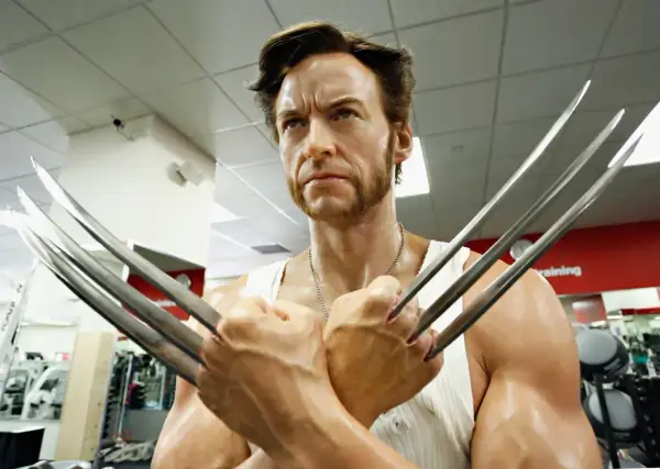 Wolverine, avec sa barbe distinctive et ses griffes rétractées, pose dans une salle de sport.