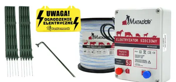 Jaki pastuch dla koni wybrać, aby zapewnić bezpieczeństwo i komfort?