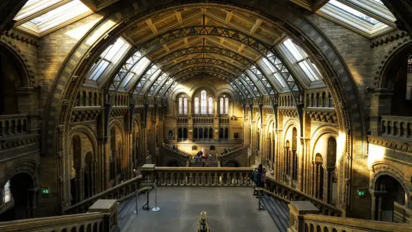 Wspaniała architektura Muzeum Historii Naturalnej w Londynie. Kamienne łuki i sklepienia rozświetlone słońcem tworzą niesamowity klimat.